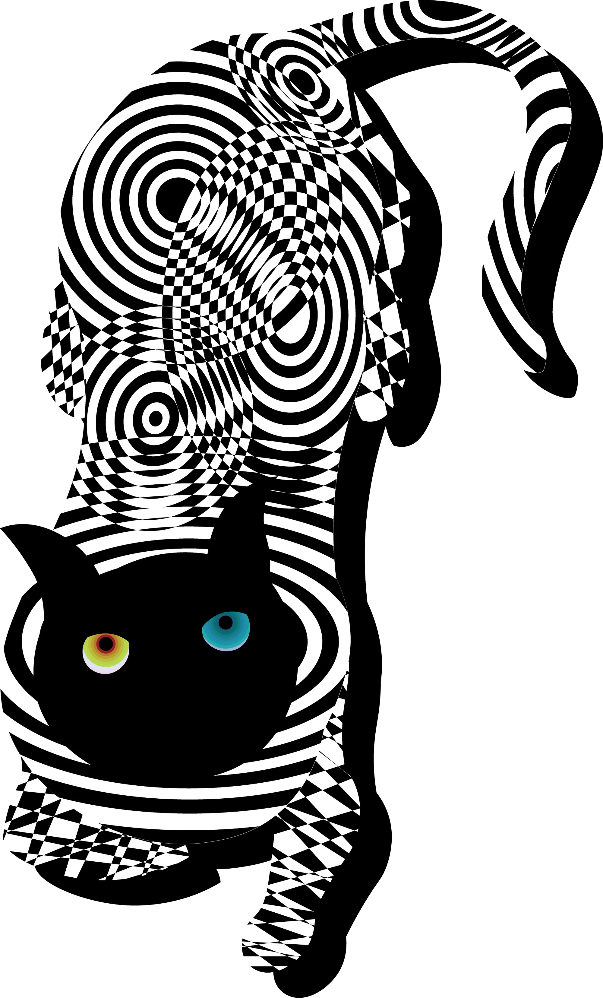 schrödinger black cat artwork